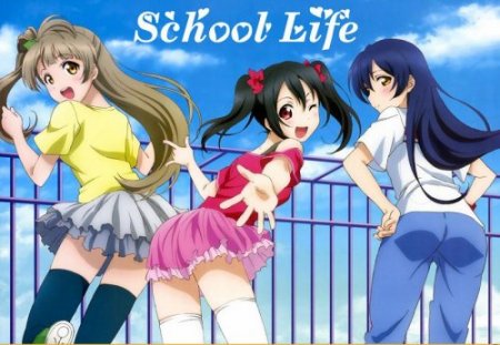 School Life / Ver: 0.4.8