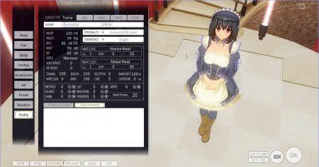 Custom Maid 3D 2 / Version: 1.31.1