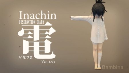 Inachin: Observation Diary