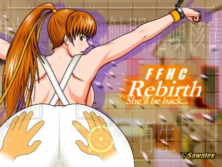 Feel the Flash Hardcore - Kasumi:Rebirth