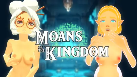 Zelda: Moans of the kingdom