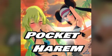 Pocket Harem